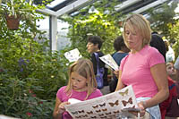 Mother and Daughter try to identify butterflies from a reference sheet in the Butterfly Garden at the Museum of Science, Boston, MA