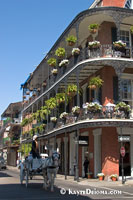 A carriage tour passes by some of the French Quater's signature wrought iron balconies.