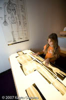 Assembling a skeleton at the Family Museum in Bettendorf, IA.