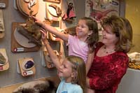 Ellie helps Sarah pet a Fox Squirrel in the Smead Discovery Center at the Cleveland Museum of Natural History.