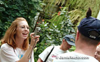 The Butterfly Garden at the Detroit Zoo