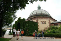 The Wildlife Interpretive Gallery at the Detroit Zoo