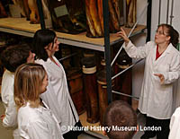 A researcher gives a tour to visitors in white lab coats at the Darwin Center at the Natural History Museum in London.