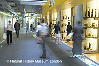 Visitors examine preserved specimens along a public corridor at the Darwin Center, London.