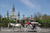 A carriage tour stops in front of Jackson Square in New Orleans, LA.