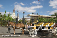 Carriage tours depart from Jackson Square.