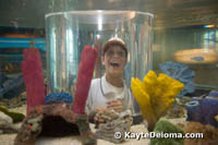 Adventure Island at the Aquarium of the Americas