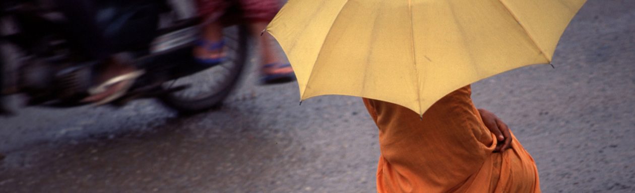 Rainy Day Traveler