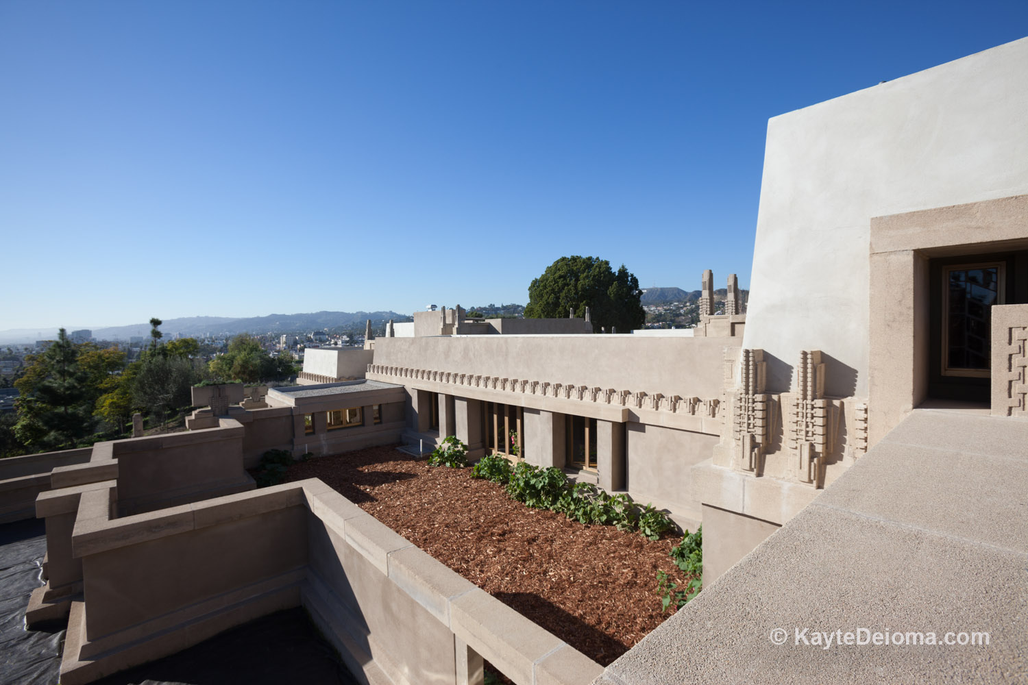 Hollyhock House © Kayte Deioma